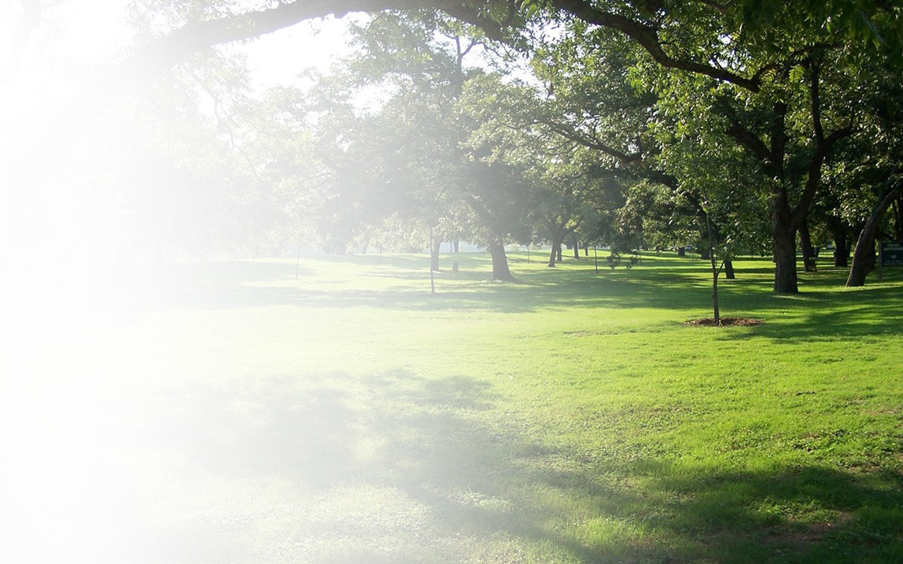 Professional cleaning services in Cameron Park, California