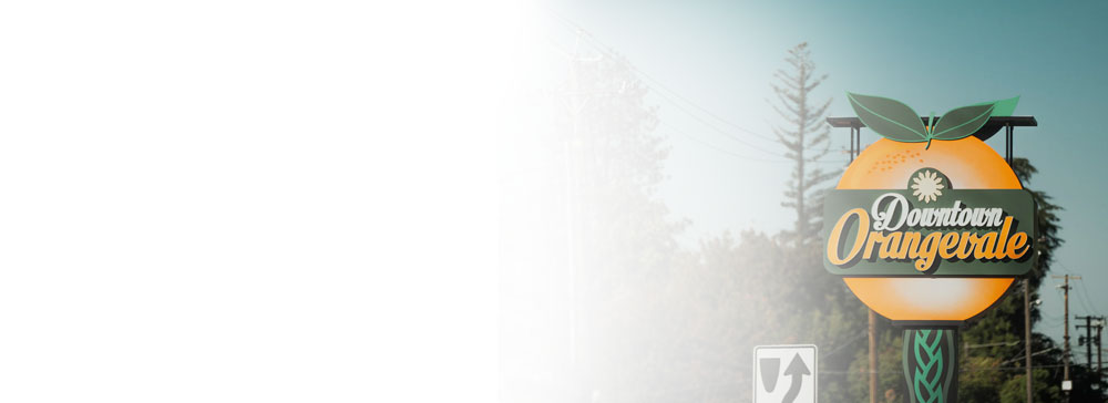 Professional cleaning services in Orangevale, California