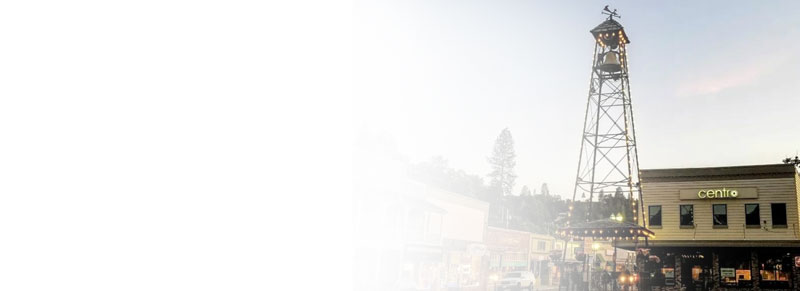 Professional cleaning services in Placerville, California