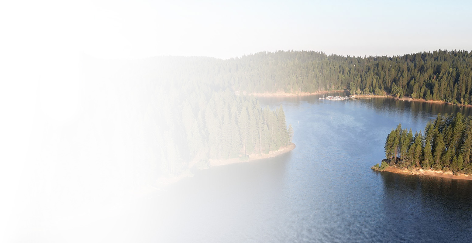 Professional cleaning services in Pollock Pines, California