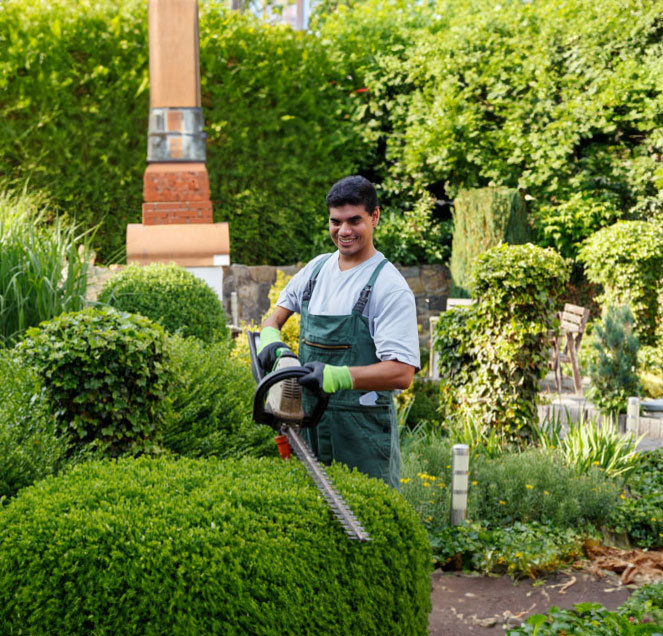 Landscaping Services in Rocklin